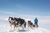 Harriniva Arctic Deluxe