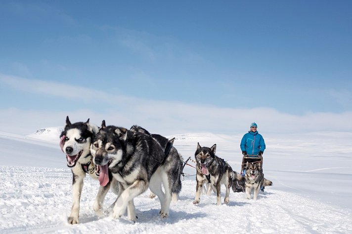 Harriniva Arctic Deluxe