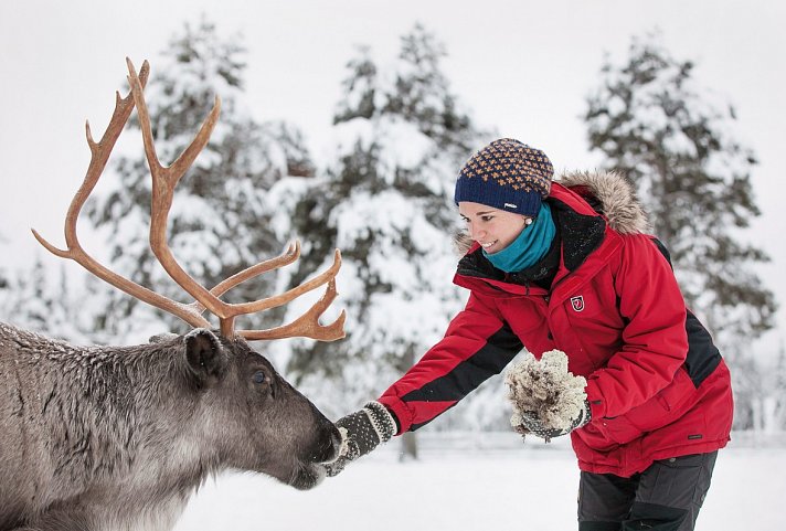 Harriniva - Lapplands Weihnachtszauber