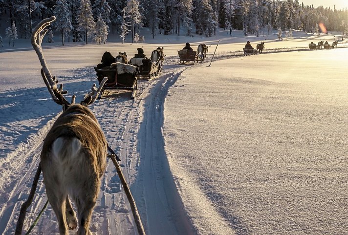 Lappland kompakt - Rentierschlittenfahrt