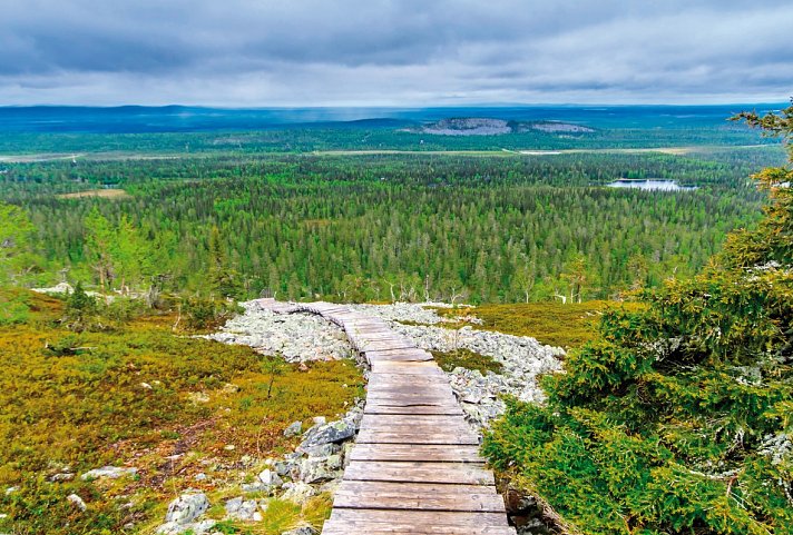 Fjellzauber und Mitternachtssonne - Pyhä-Luosto Nationalpark