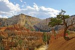 Nationalparks des Westens erwandern (ab Las Vegas)
