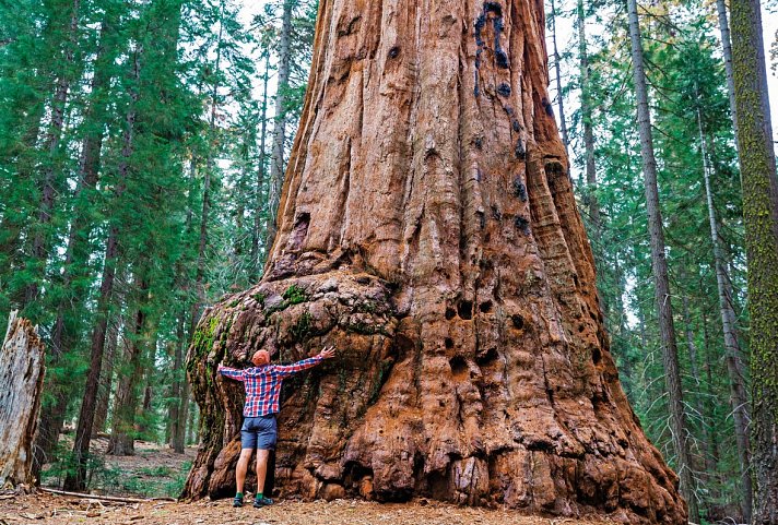 Kleingruppenreise Kalifornien entdecken - Sequoia Nationalpark