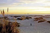 Great West - San Diego, Coronado
