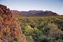 Great West - Landschaft bei Scottsdale