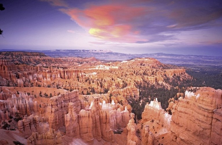 Western Triangle