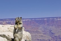Das Beste vom Westen & Inselzauber Hawaii - Maui (19 Nächte) - Grand Canyon Nationalpark
