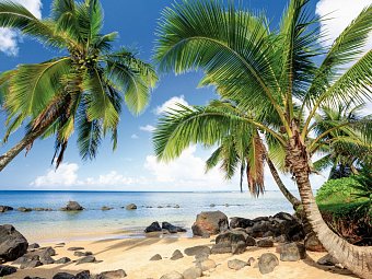 Das Beste vom Westen & Inselzauber Hawaii - Maui (19 Nächte)