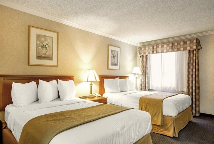 Quality Inn Near Hollywood Walk of Fame - Wohnbeispiel Standard 2 Double Beds (Zimmercodierung UG3)
