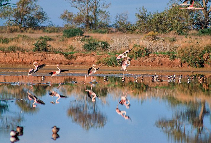 Trendregion Alentejo