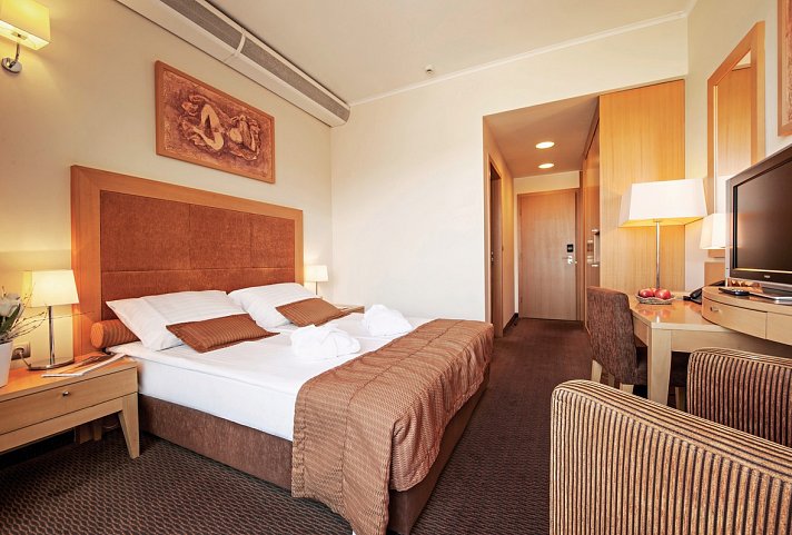 Grand Hotel Primus - Wohnbeispiel Doppelzimmer Economy (Zimmercodierung DE1)