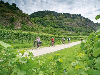 Donau-Radweg mit Charme - Radfahrer in der Wachau