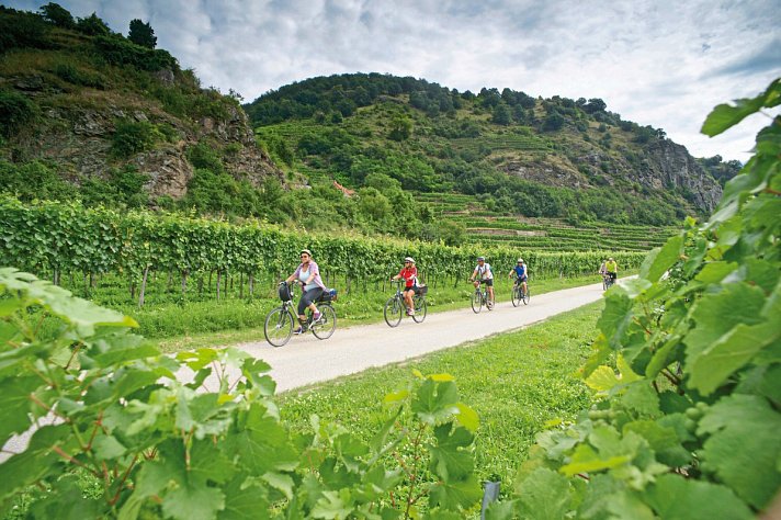 Donau-Radweg mit Charme