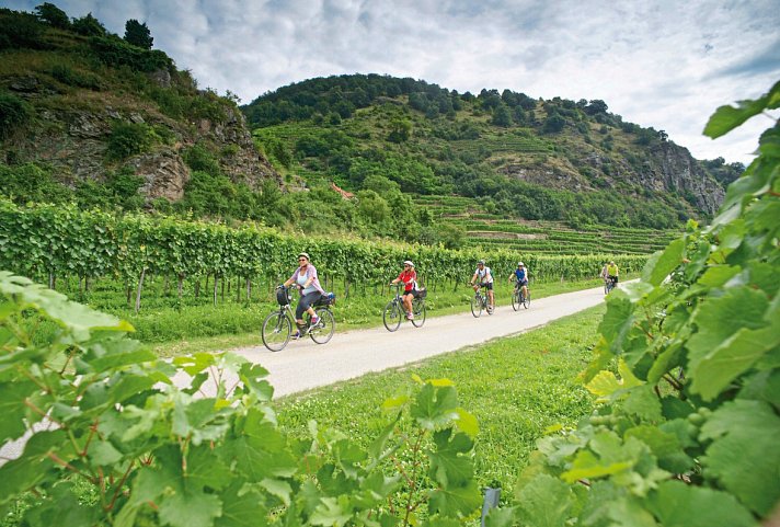 Donau-Radweg mit Charme - Radfahrer in der Wachau