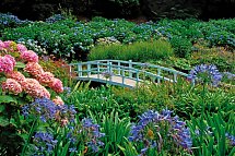 Idyllisches Südengland - Trebah Garden, Cornwall