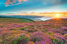Südenglands Filmkulissen - Heidelandschaft, Exmoor NP