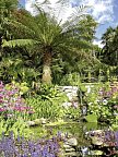 Südengland aktiv erleben - Trebah Gardens