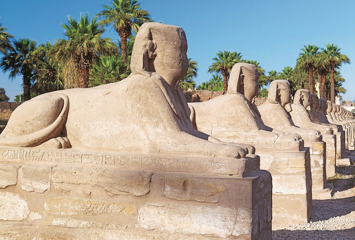 Kleine Nilkreuzfahrt ab Luxor bis Assuan - Karnak-Tempel