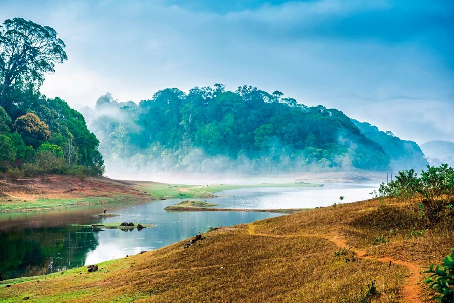 Südindien zum Kennenlernen - Periyar-Nationalpark
