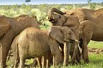 Abenteuer Kenia