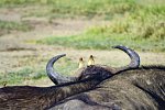 Abenteuer Kenia