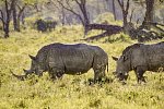 Abenteuer Kenia