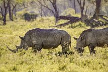 Abenteuer Kenia