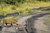 Abenteuer Kenia