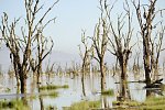 Abenteuer Kenia