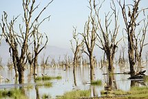 Abenteuer Kenia
