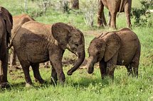 Abenteuer Kenia