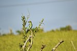 Abenteuer Kenia