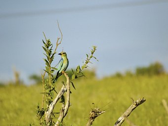 Abenteuer Kenia