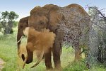 Abenteuer Kenia