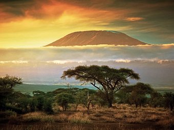 Abenteuer Busch - Amboseli Nationalpark