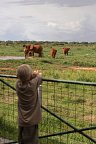 Tierische Familienzeit - Saltlick Safari Lodge