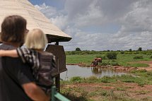 Tierische Familienzeit - Saltlick Safari Lodge