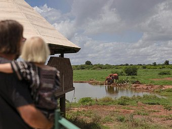 Tierische Familienzeit - Saltlick Safari Lodge