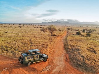 Tierische Familienzeit - Pirschfahrt mit Saltlick Safari Lodge