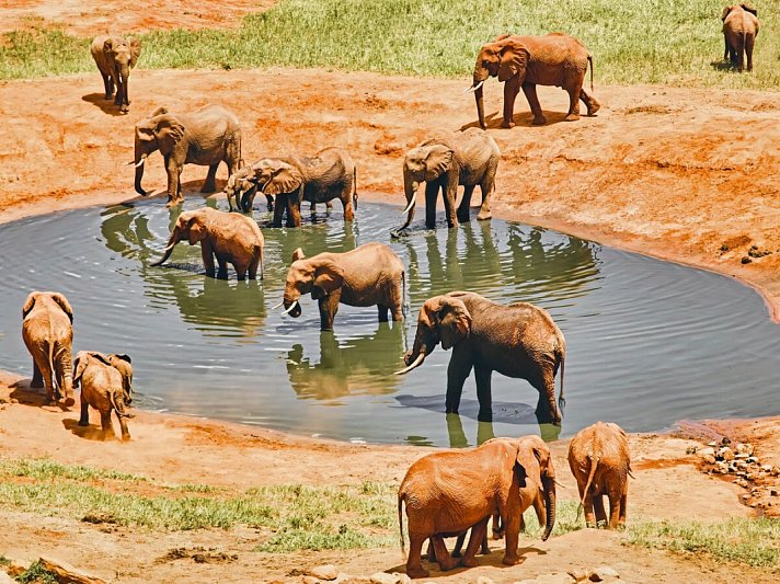 Malindi to the Wild