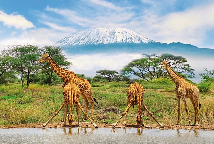 Kenia Explorer - Amboseli Nationalpark