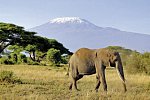 Tsavo & Amboseli