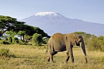 Tsavo & Amboseli