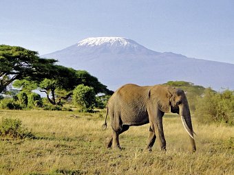 Tsavo & Amboseli