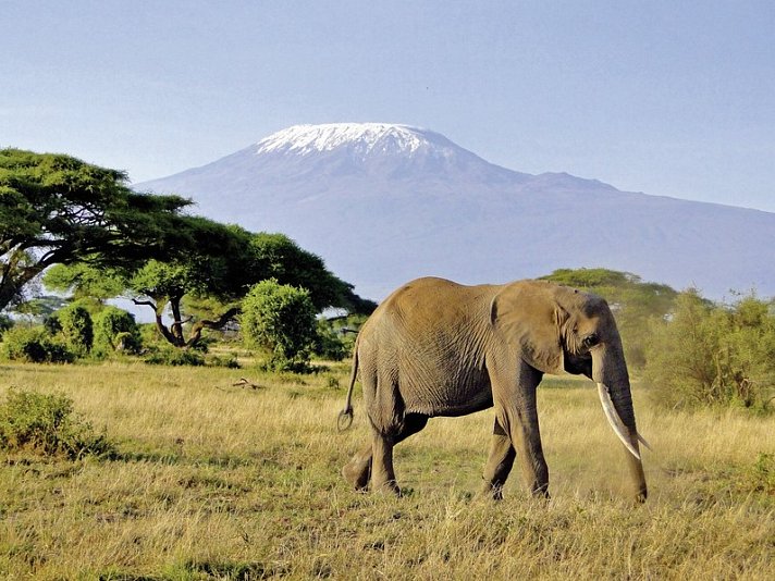 Tsavo & Amboseli