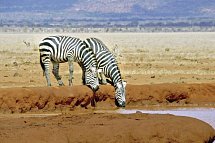 Tsavo & Amboseli