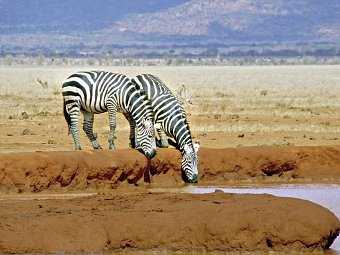 Tsavo & Amboseli