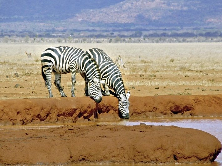 Tsavo & Amboseli