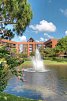 Rosen Inn Lake Buena Vista