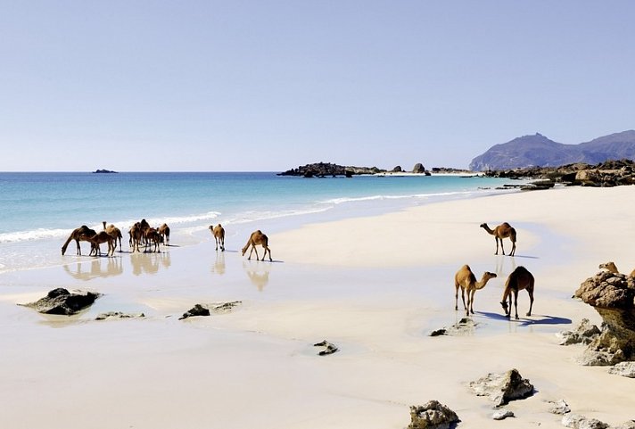 Die Weihrauchstraße - Der Duft des Orients - Salalah Strand